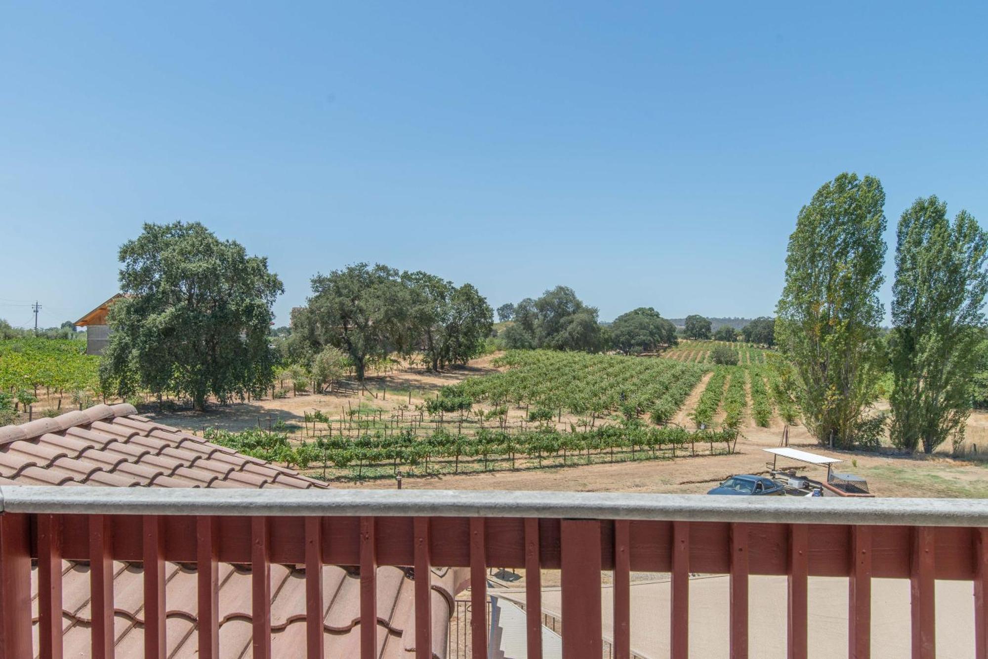 Elegant With Stunning Vineyard Views Séjour chez l'habitant