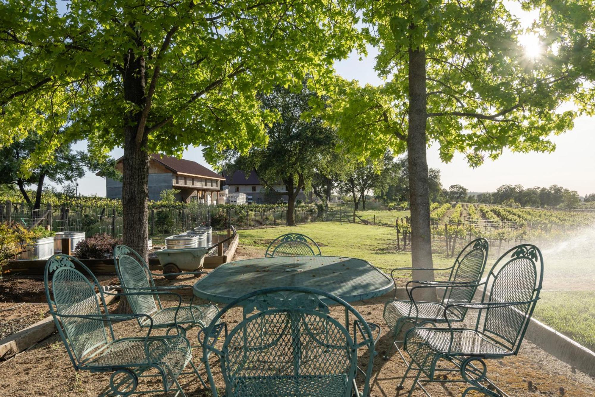 Elegant With Stunning Vineyard Views Séjour chez l'habitant *